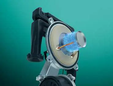 system IoniDetect